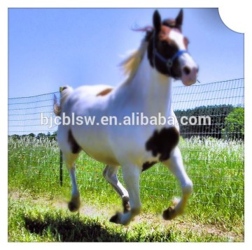 China supplier used horse stalls