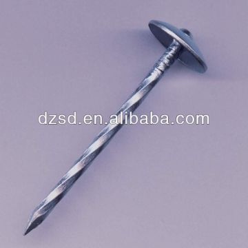 umbrella head twisted shank roofing nails