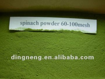 spinach powder base spinach powder