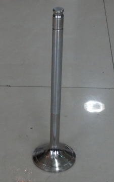 Marine Engine Valve for SULZER RD68