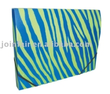 Printing Document Case