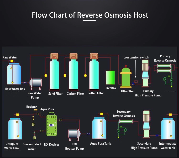 Reverse Osmosis 1000lph Two Stage RO and EDI Deionized RO Water Purifier Treatment Plant Machine