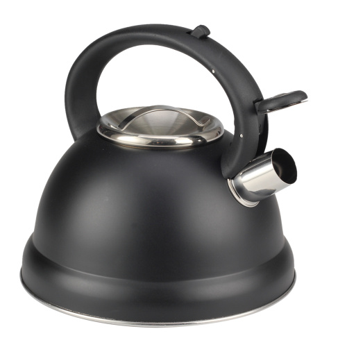 Food Grade Stainless Steel Painting Black Whistling Kettle