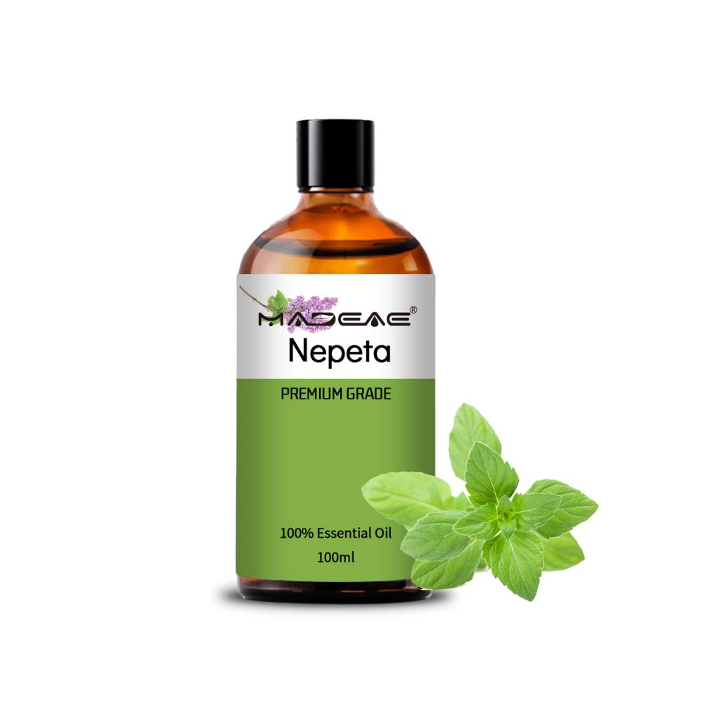 100% Natural And Pure Organic Nepeta Oil Catnip Essential Oil For Calming