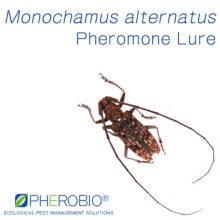 Monochamus alternatus Dual Attractant, Janpanese Pine Sawyer Pheromone Lure & Attractant