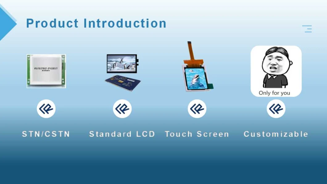 5.0 Inch 480*480 TFT LCD Screen with Touch Screen