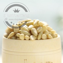 Best price cedar pine nut kernel
