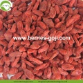 Factory Supply Gezonde gedroogde natuurlijke Goji