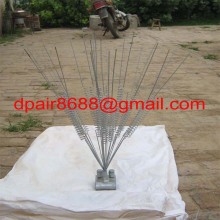 Bird Repellent, Bird-Control
