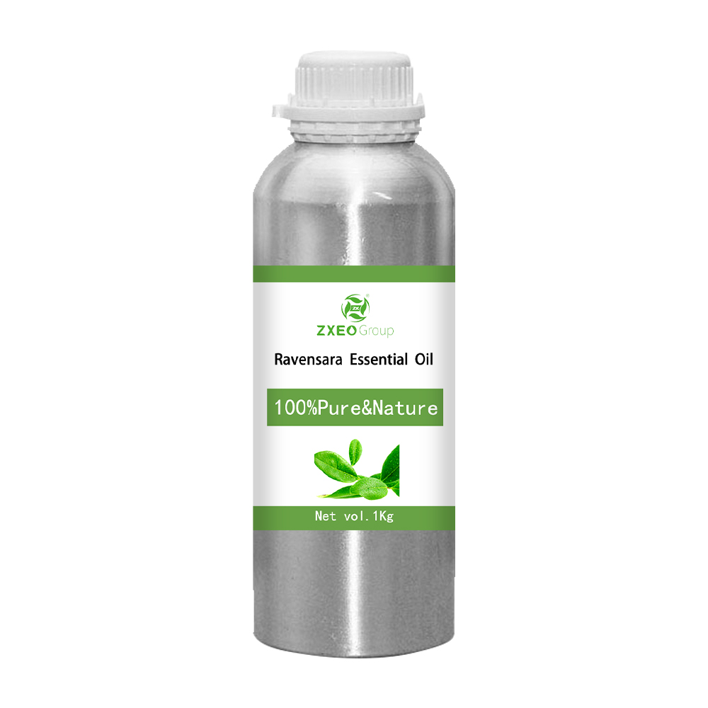 Aceite esencial de Ravensara 100% puro y natural Aceite esencial al por mayor de alta calidad BLUK para compradores globales El mejor precio