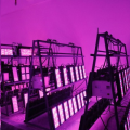 Plantas de interior Phlizon LED Grow Light 600W