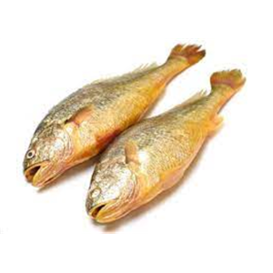 냉동 노란색 크로커 물고기