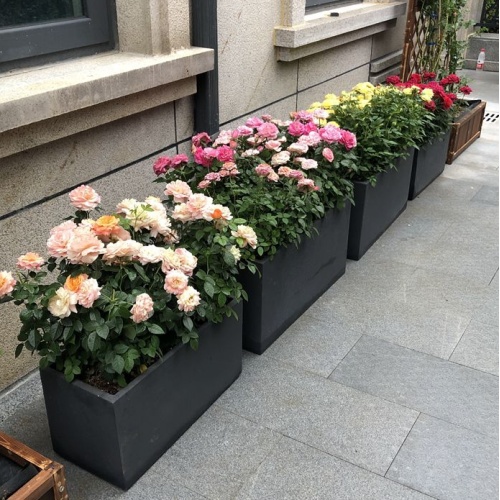 Plantadores de concreto retangular decorativos fora de vasos de flores