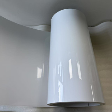 Polypropylene Film Roll PP Sheet for Prepared Meal Box