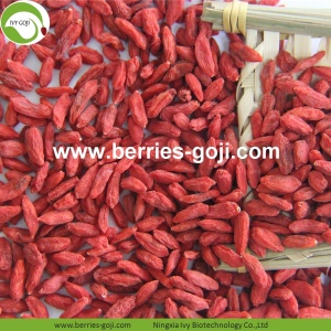 โรงงานซัพพลายผลไม้โภชนาการความแข็งแรงทางเพศ Goji Berry