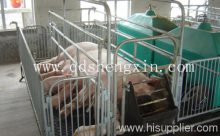 The Farrowing Pig Pen?