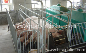 The Farrowing Pig Pen?