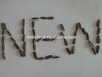 black sunflower seeds sunflower seed price sunflower seed ton price