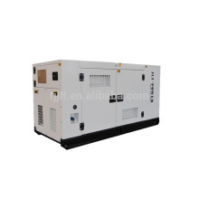 Ricardo Series Diesel Generator Sient Type With Good Price