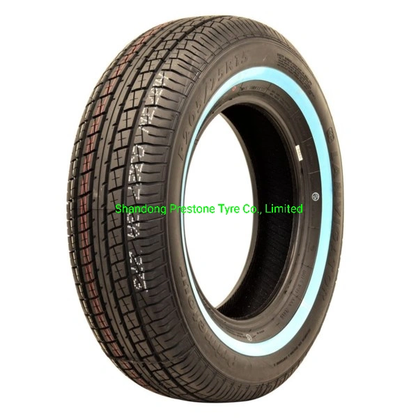 Lanvigator Winter Snow Car Tires PCR M+S Catchsnow 215/60r16 215/65r16c 215/70r16 215/75r16c 225/60r16 225/65r16c 225/70r16 Lt225/75r16 235/65r16c 235/70r16