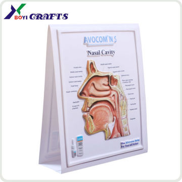 2015 PVC 3D Anatomical Charts Factory & Manufacture