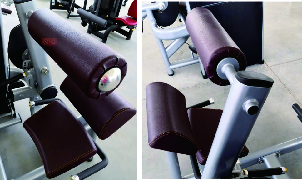 Fitness Equipment Back Extension