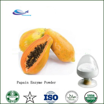 Papaya Fruit Papain Enzyme Powder Natural Organic Papain