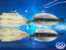 fresh herring fillet seafood