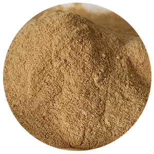 Chinese factory high quality supplies pure squid powder for seafood snacks