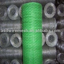 PVC Coated Glavanized aviary net/galvanized aviary wire