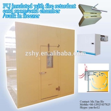 PU insulated with fire retardant cold room/cold chamber/walk in freezer