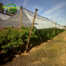 Grapevine roof woven Fabric Film with eyelets