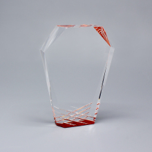 Custom Engraved Acrylic Plaque And Trophy