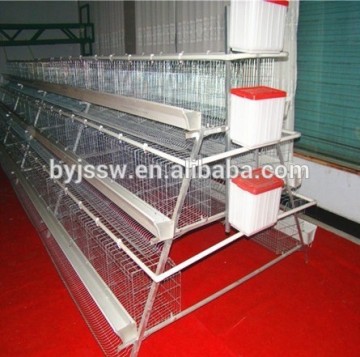 layer egg chicken cage/poultry farm house design