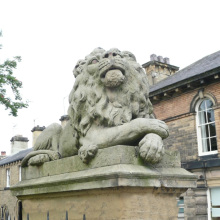 Custom new design outdoor garden animal sculpture granite lion statue for sale