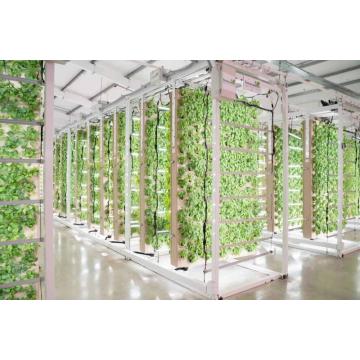 SKYPLANT 2-4 Layers Mobile Grow Racking For Vertical Farming Mobile Vertical Growing Racks