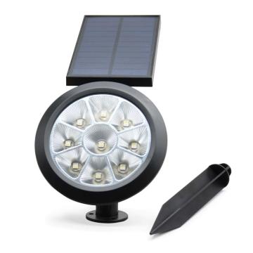Solar LED Pathway Light