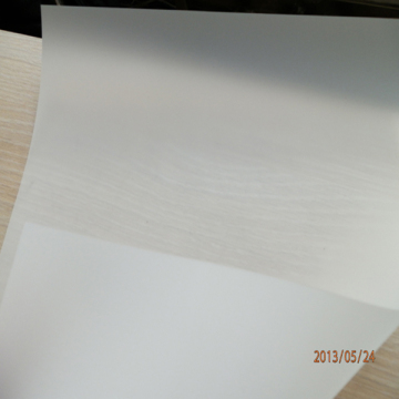 transparent rear projection screen