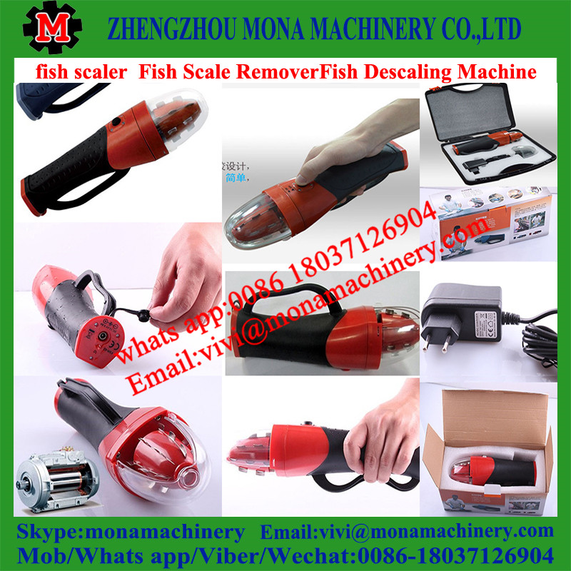 fish scale peeling machine/fish scale peeler