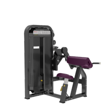 Bicep Tricep Curl Machine