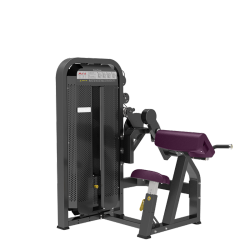 Commercial Gym Seated Biceps/Triceps Curl 2 in 1