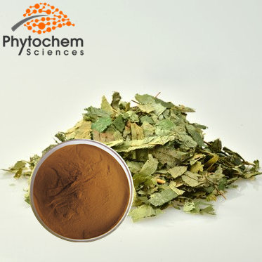 Natural herbal extract Horny Goat Weed Extract Icariin 98%