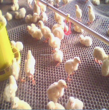 Plastic Stretched Hexangular Netting