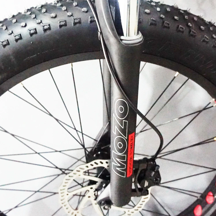 Ce Certified Electric Cycle Electric Mountain Fat Bike