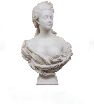 Famous Venus bust statue