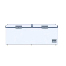 Ultra Low Temperature Vertical Freezer Refrigerator Deep Freezer