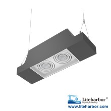 Commercial/Residential Liteharbor Pendent Mount Twin GU10 LED Multiple Downlight