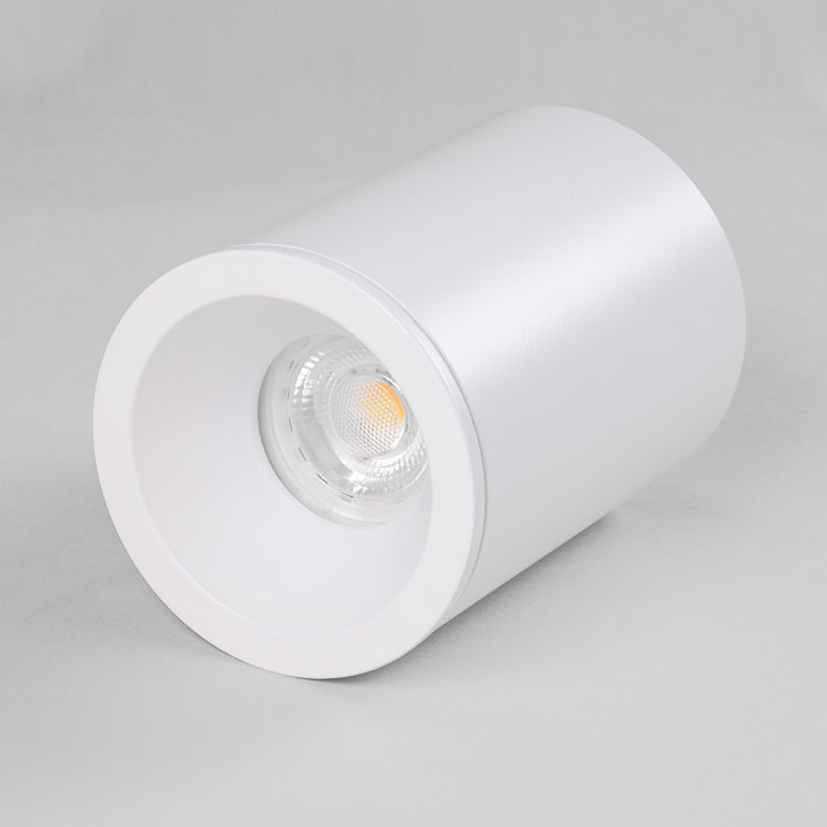 IP65 ceiling waterproof light Fixed Surface mounted downlight