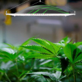 Diseño de disipación de calor revolucionario LED Grow Light