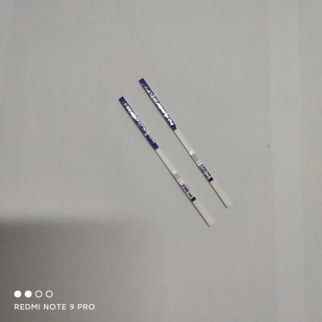 Women Pregnancy Test Strip Device